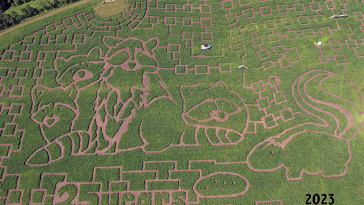 Great Vermont Corn Maze | Danville, VT