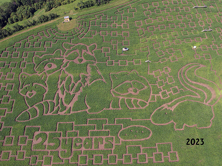 Great Vermont Corn Maze | Danville, VT