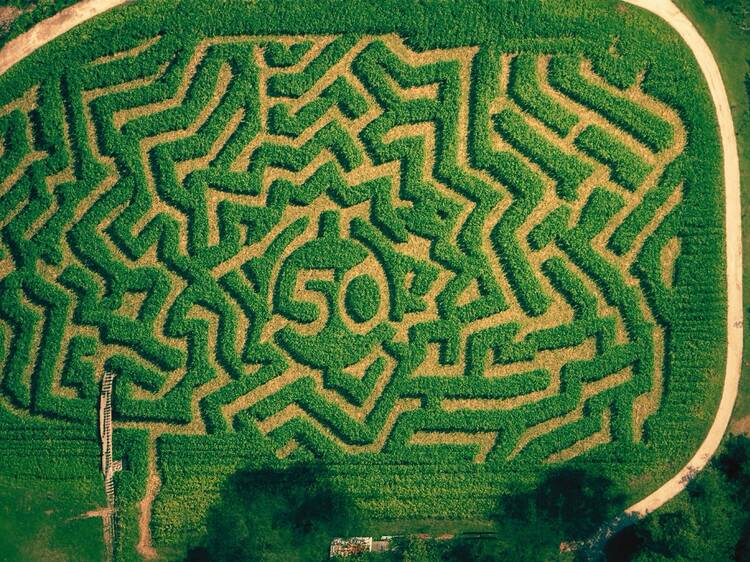 The Amazing Maize Maze | Queens, NY