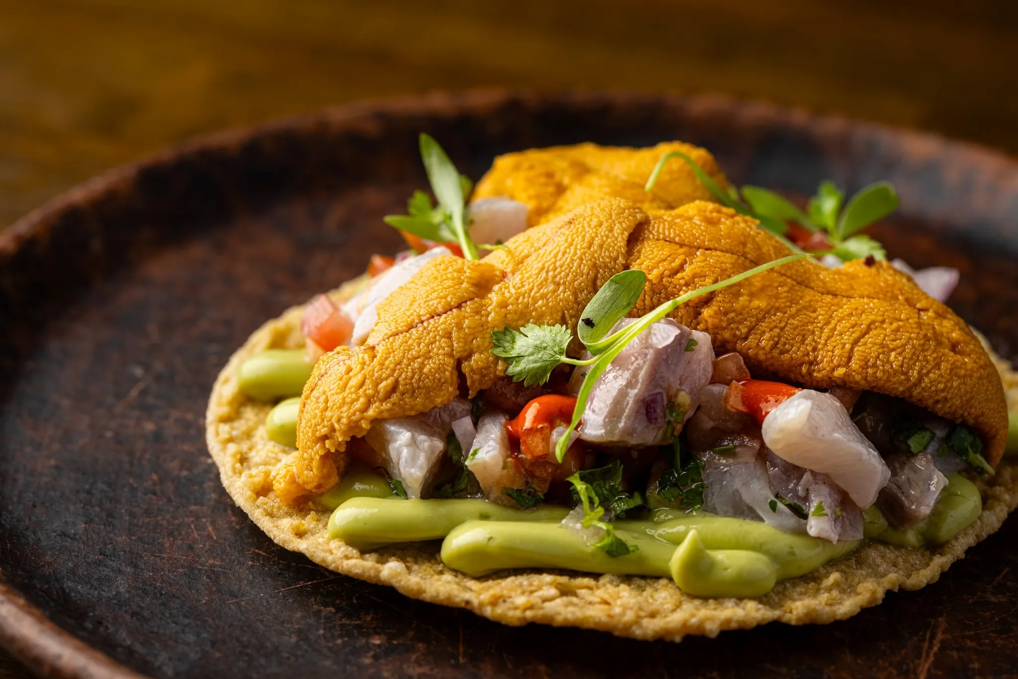 Holbox tostada