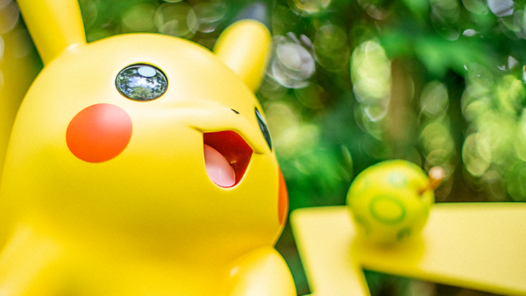 特別展 没後50年記念 福田平八郎×琳派