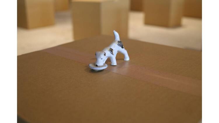 キュレトリアル・スタディズ16：荒木悠 Reorienting―100年前に海を渡った作家たちと―