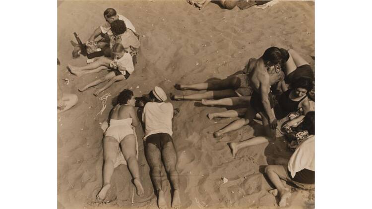 キュレトリアル・スタディズ16：荒木悠 Reorienting―100年前に海を渡った作家たちと―