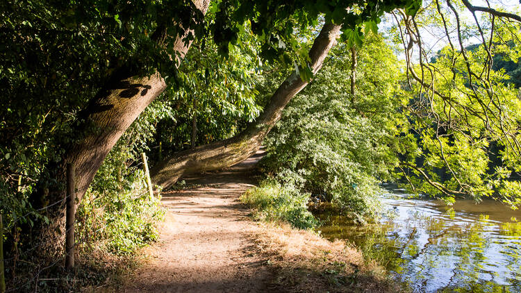 Thames Path, Goring