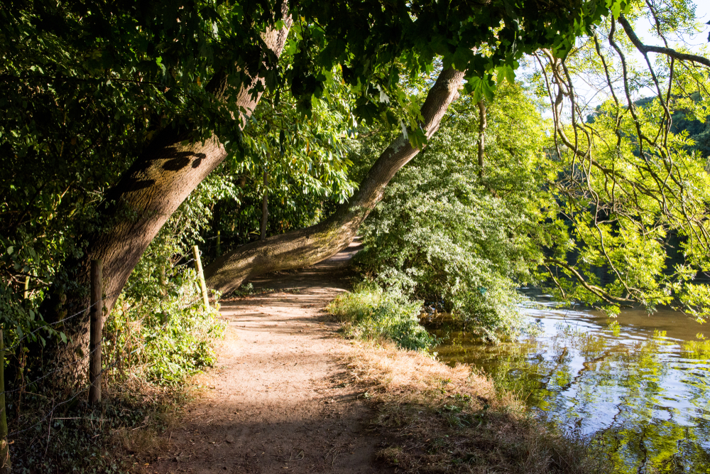 This riverside trail is officially the best scenic walk near London