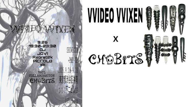 VVIDEOVVIXEN