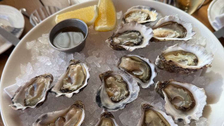 Oysters at Felons Seafood