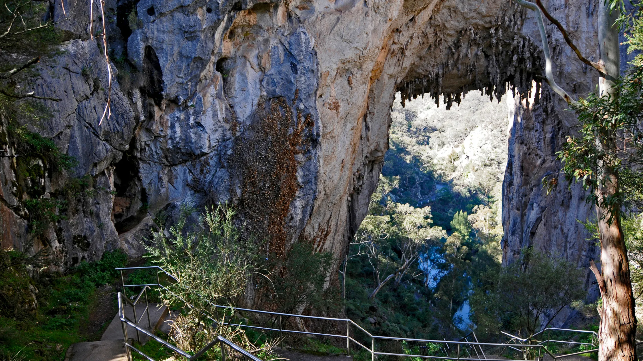 Jenolan Caves