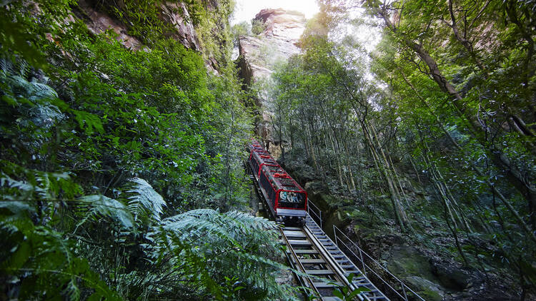 The Railway at Scenic World, Blue Mountains
