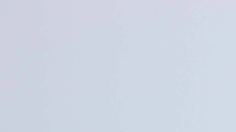 JRA日本中央競馬会 JRA日本中央競馬会