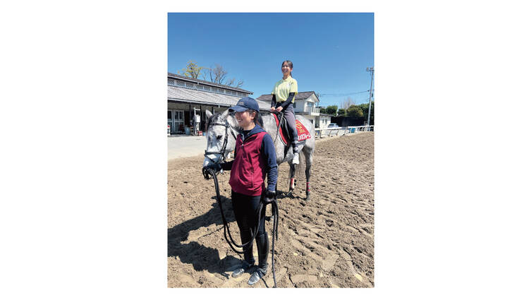 4. 実際に馬と触れ合ってみる。 4. 実際に馬と触れ合ってみる。