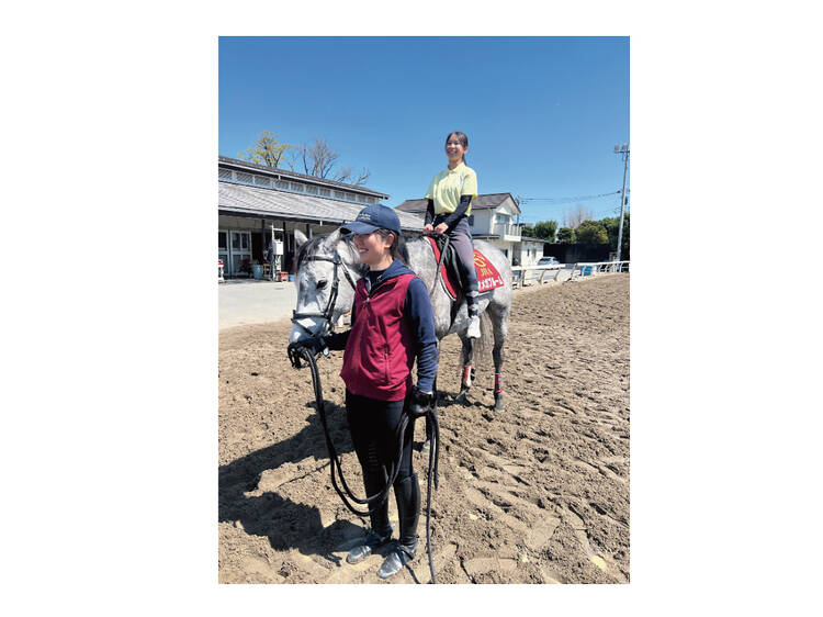 4. 実際に馬と触れ合ってみる。 4. 実際に馬と触れ合ってみる。