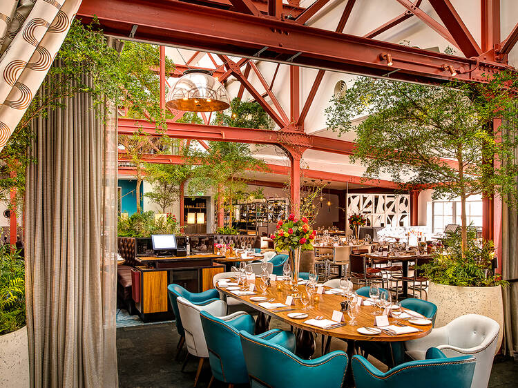 Three-course meal with prosecco at Bluebird Chelsea for £23