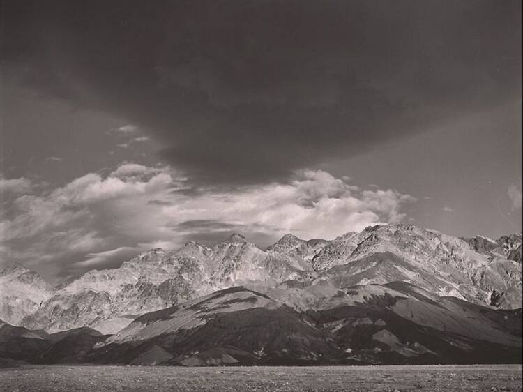 Edward Weston. La materia de las formas