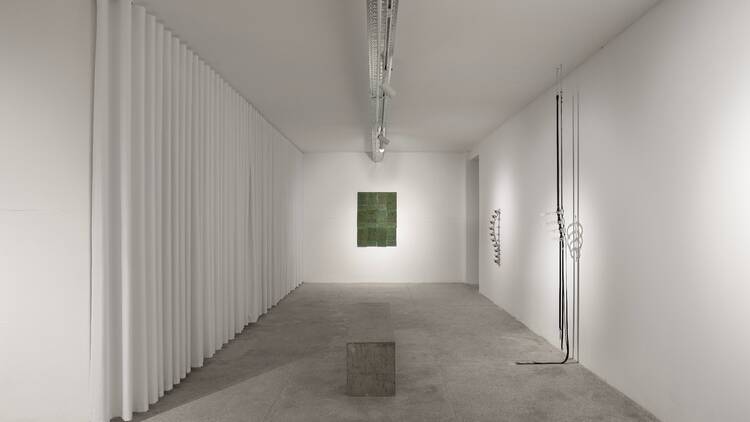 Plato Galeria
