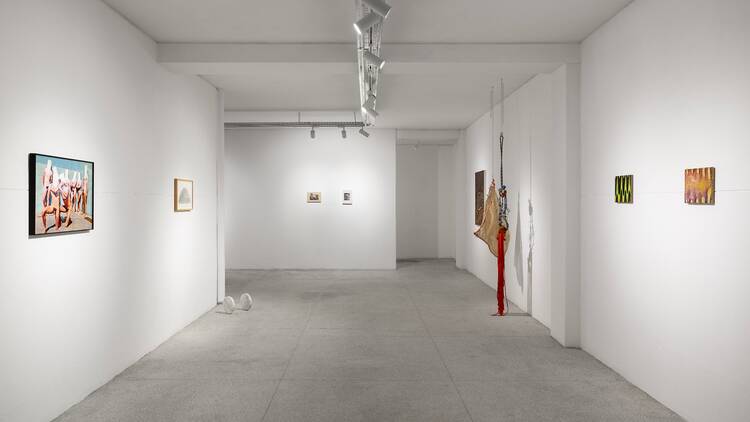 Plato Galeria