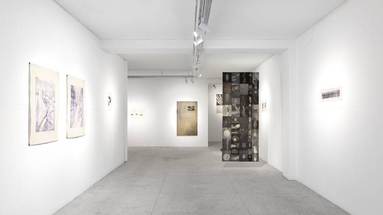 Plato Galeria