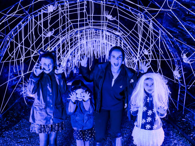 Halloween at Kenwood