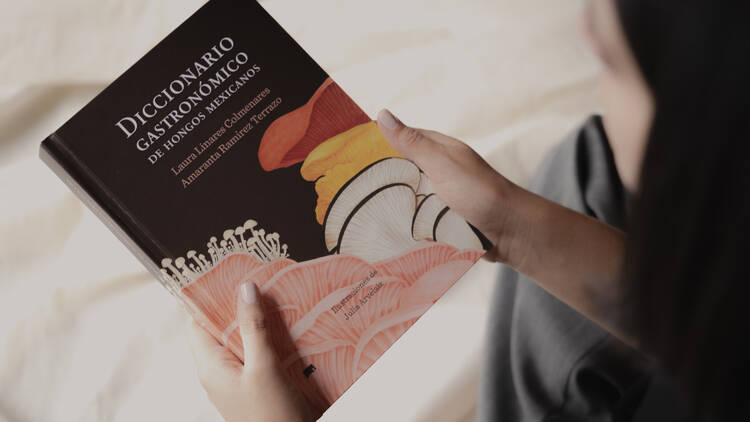 Diccionario Gastronómico de Hongos. De Laura Linares y Amaranta Ramírez