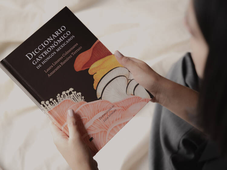 Diccionario Gastronómico de Hongos. De Laura Linares y Amaranta Ramírez