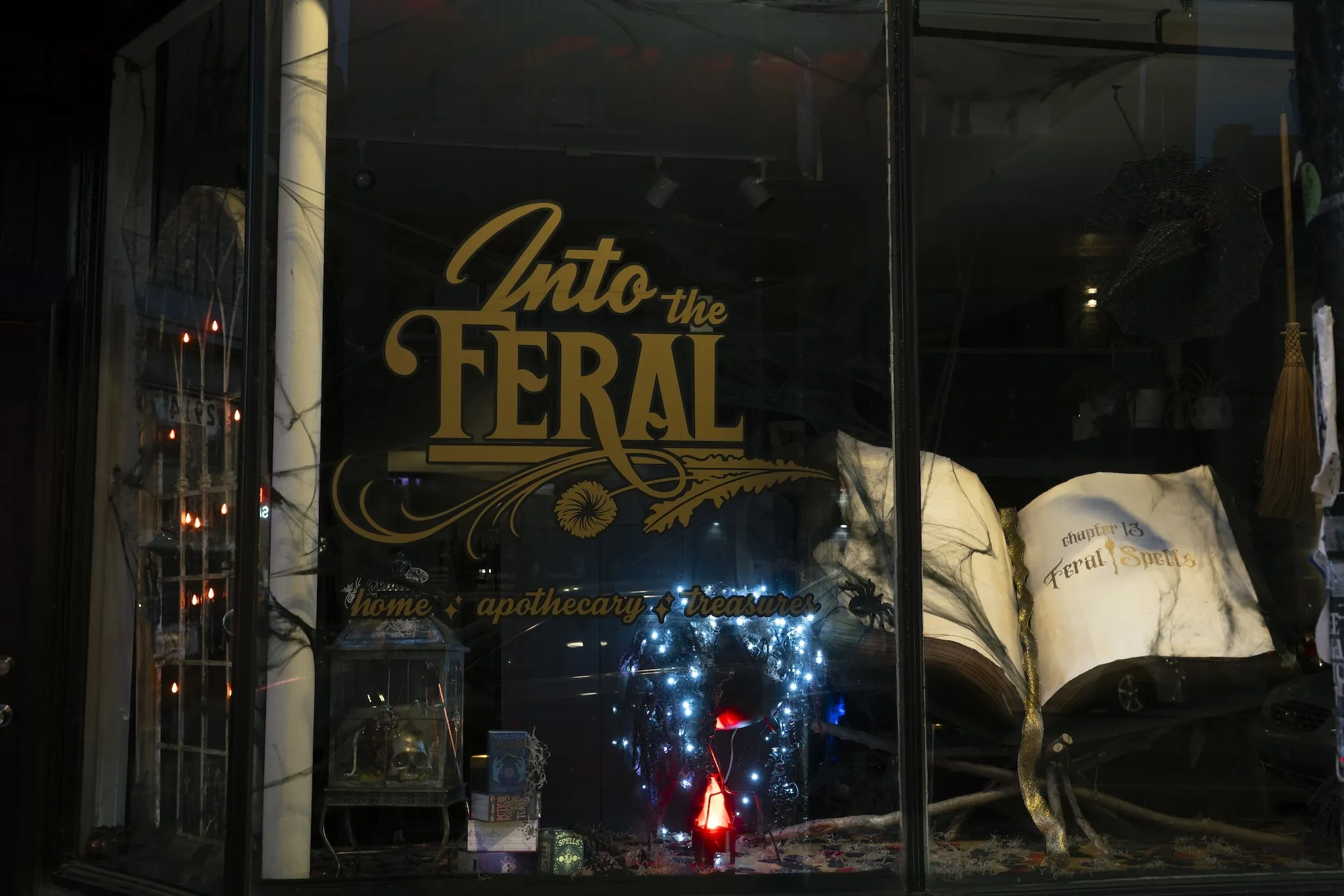 The exterior window of Into the Feral.