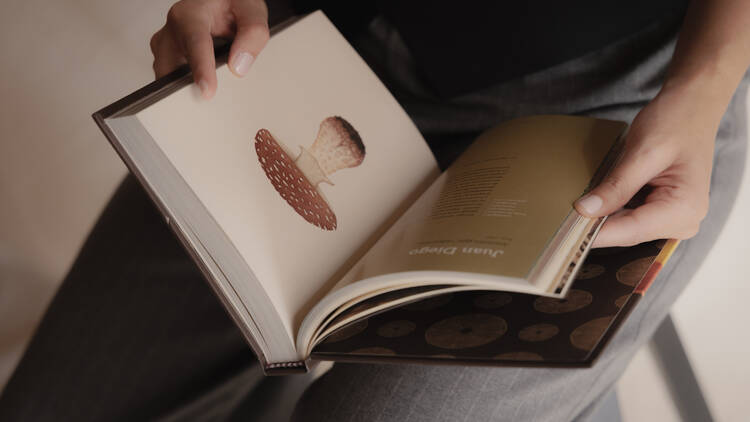 10 libros foodie para leer sobre comida y bebida