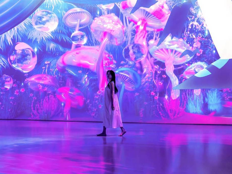 Tumble down the rabbit hole at Alice: Into the New World Tumble down the rabbit hole at Alice: Into the New World