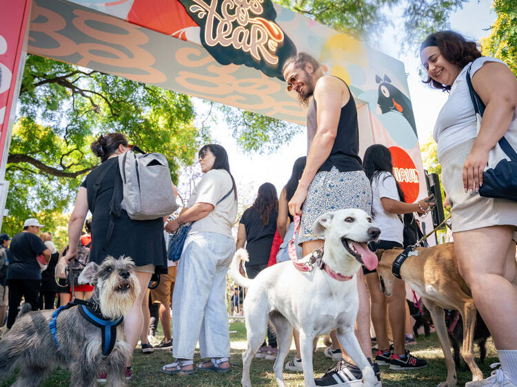 Mascotear Festival Returns to Buenos Aires
