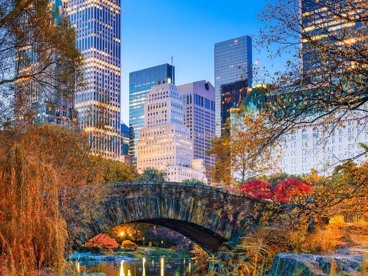 Central Park during autumn in New york City.
