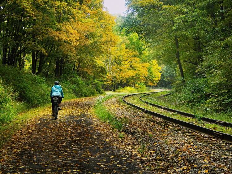The prettiest fall foliage bike rides in the U.S.
