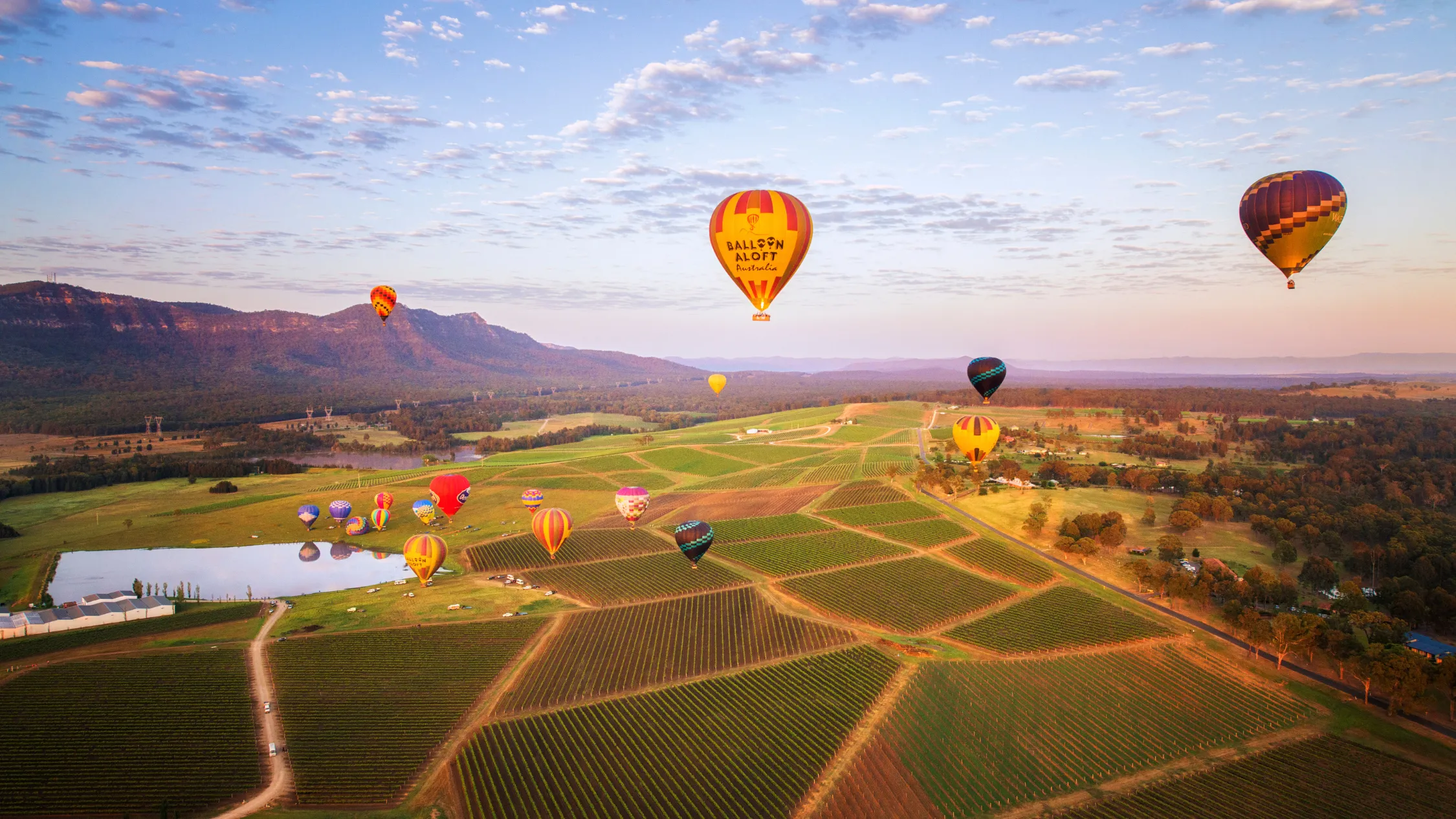 Balloon Aloft