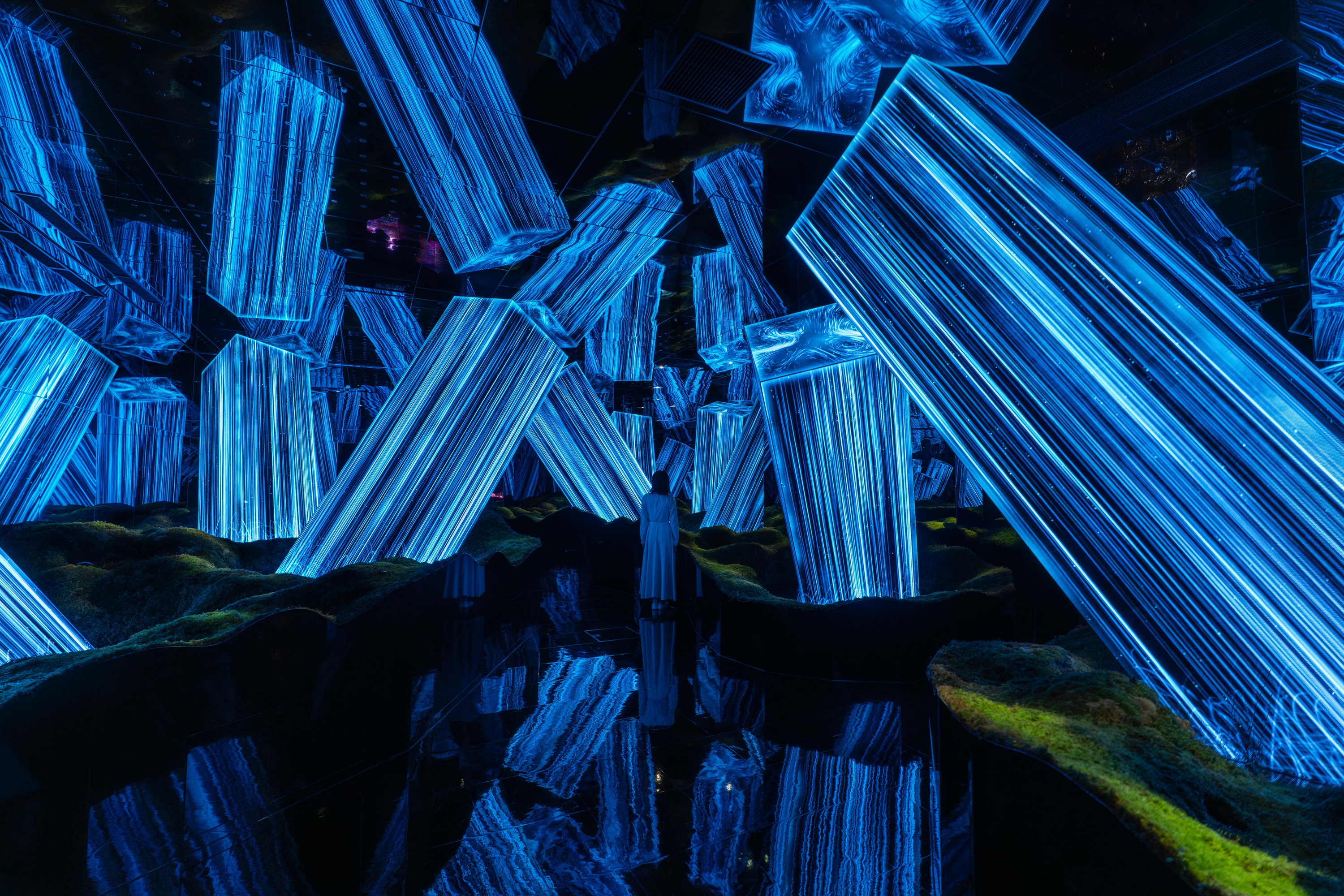 日本最大級「チームラボ バイオヴォルテックス 京都」が遂に誕生