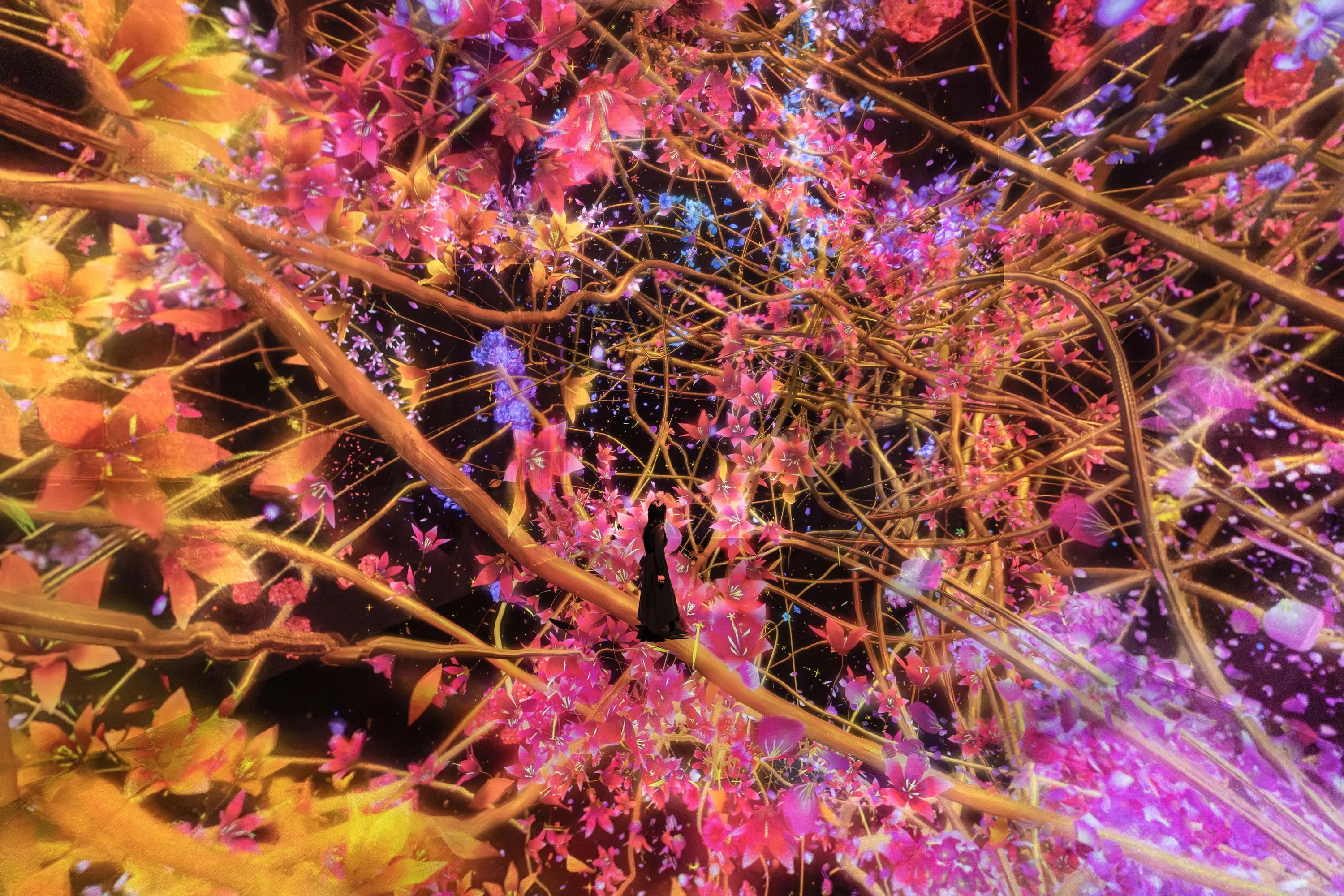 teamLab Biovortex Kyoto – Traces of Life