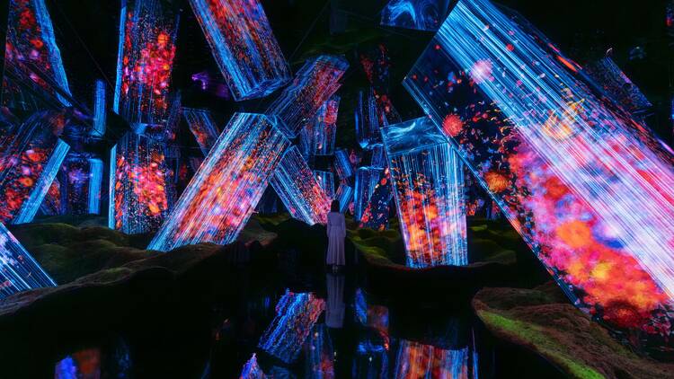 10 things to do in Japan this November 10 things to do in Japan this November