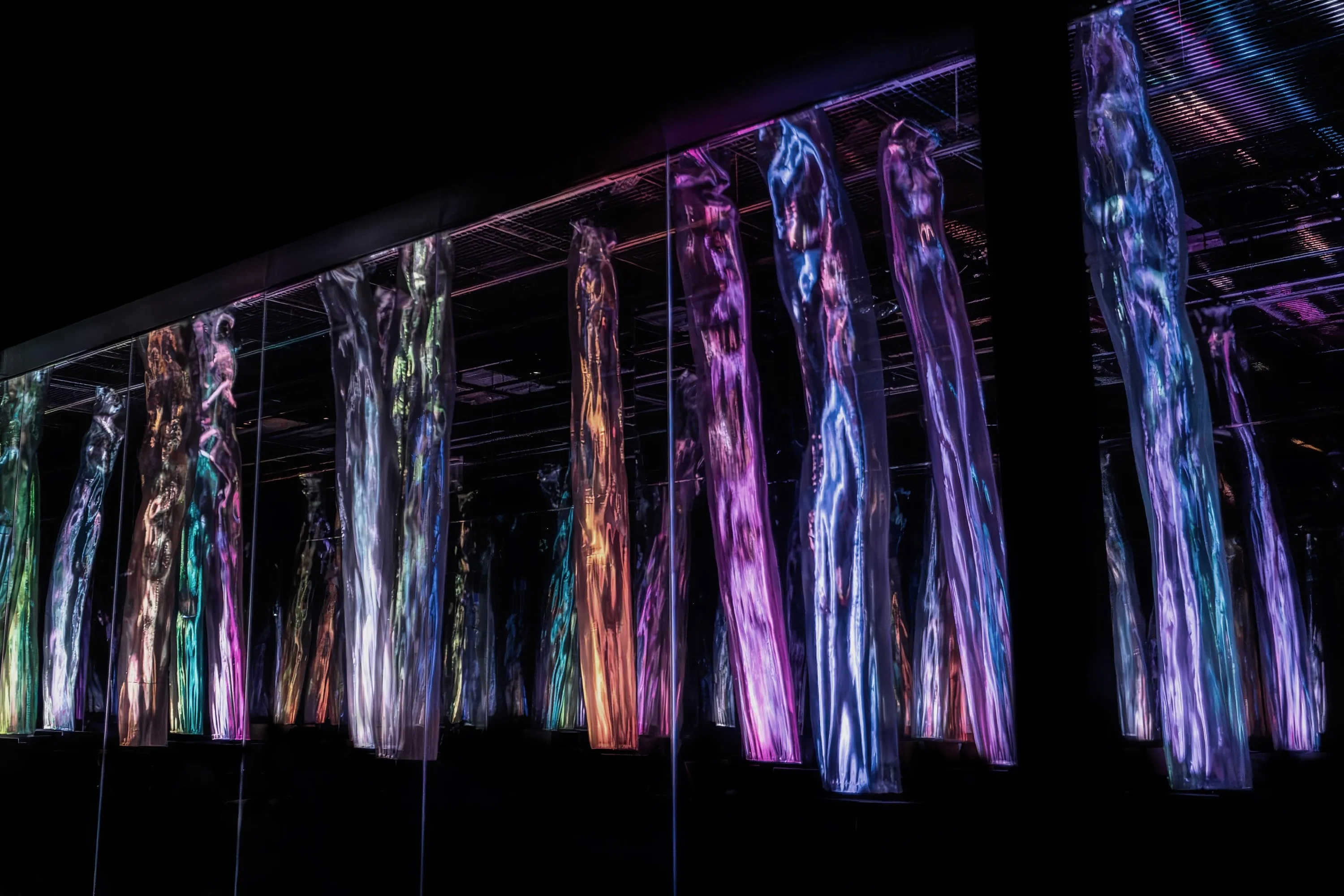 teamLab Biovortex Kyoto – Forest of Flow and Light
