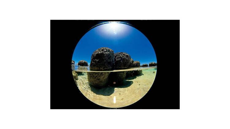 野村仁「コスミック・センシビリティー ―太陽・酸素―」