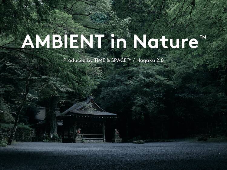 Ambient in Nature at Kifune Shrine