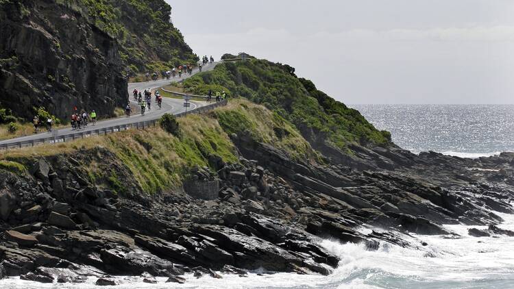 Great Vic Bike Ride Cyclists riding along the Great Ocean Road.