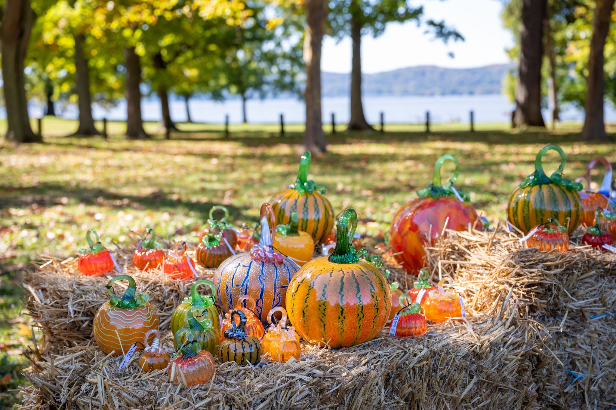 One of New York's most gorgeous pumpkin patches is popping up this weekend, and it's all made of hand-blown glass