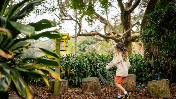 Learn all about bees at this fun experience at Sydney’s Botanic Garden
