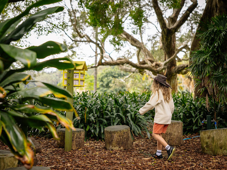 Learn all about bees at this fun experience at Sydney’s Botanic Garden