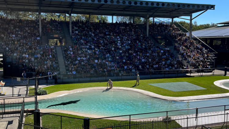 Crocodile show in stadium
