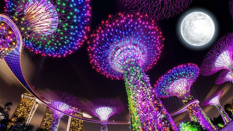 Gardens by the Bay in Singapore