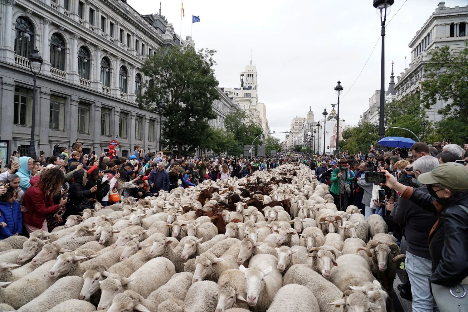 Fiesta de la Trashumancia