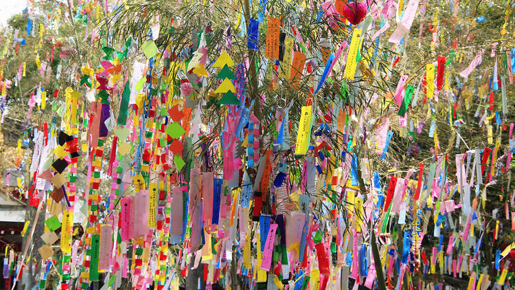 Acció per la Pau, tanabata