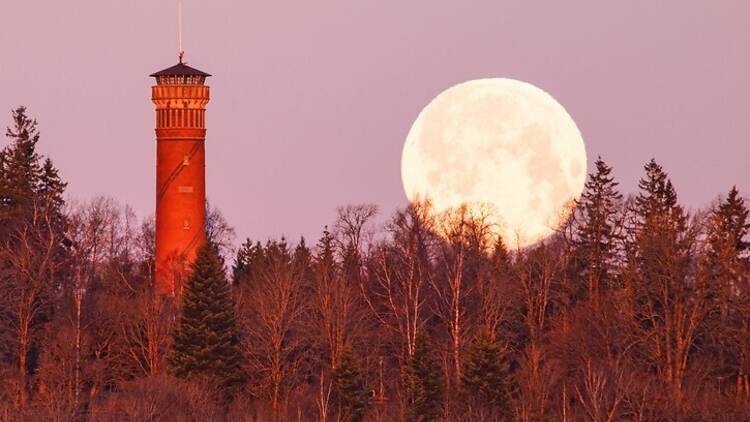 Supermoon in the UK