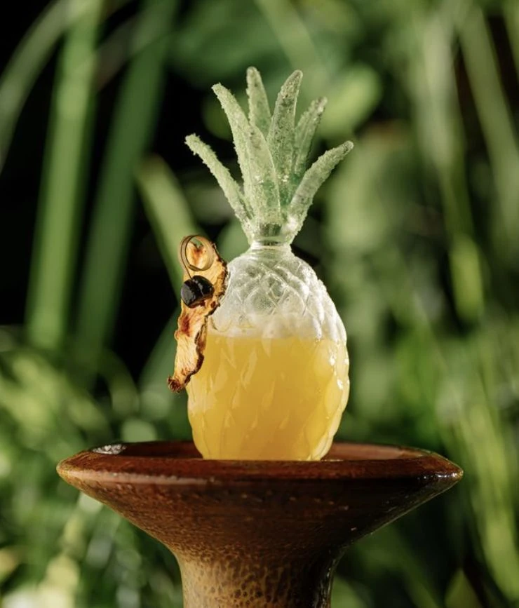 Amaz&oacute;nico. James Mcdonald