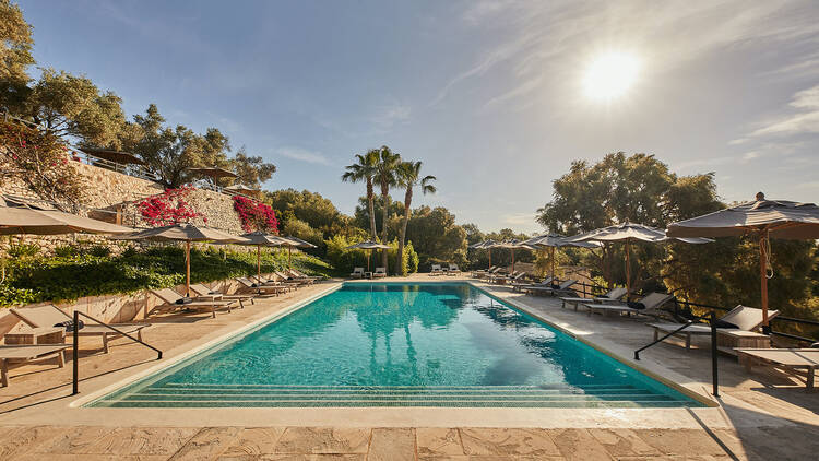 Finca Serena