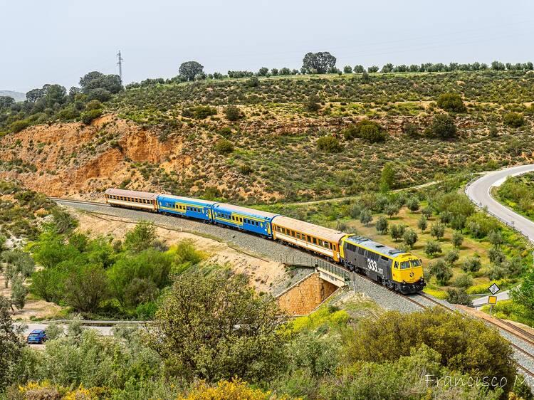 Tren Tierras de Medina