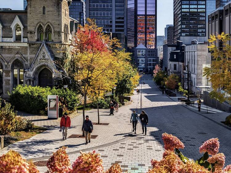 50 best things to do in Montreal for locals and tourists